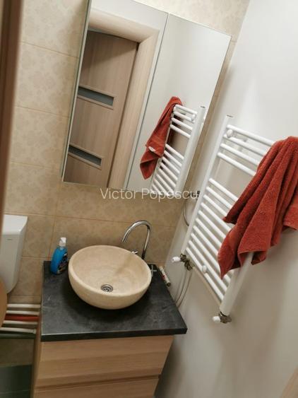 Proprietar, Tineretului - Palatul Copiilor , Centrala, Parcare - 14