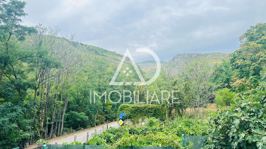 Afacere la cheie – Pensiune turistică în Comuna Runcu