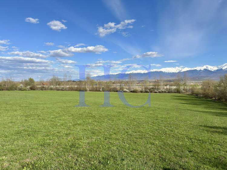 Teren | Sat Bradu, Jud. Sibiu | Ideal Cabane A-Frame & Parcelare