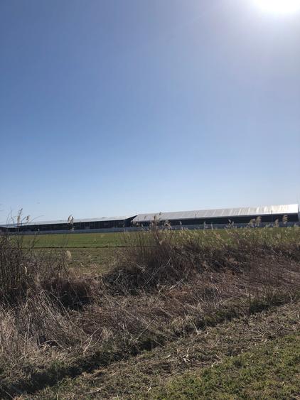 Teren 4.000mp strategic langa Pentarom & Dacia-Renault l Acces DN73