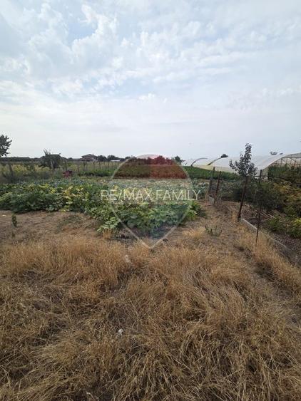 Casă cu gradina mare in Madaras - 7