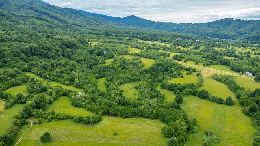 Teren ideal recreere/conectare cu natura/zona Fagaras/achitare in rate