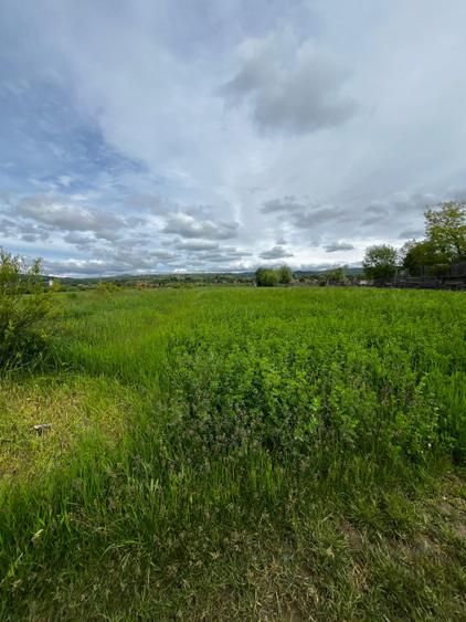 Teren extravilan de vânzare – 2.800 mp, Livezile, județul Bistrița-Năsăud