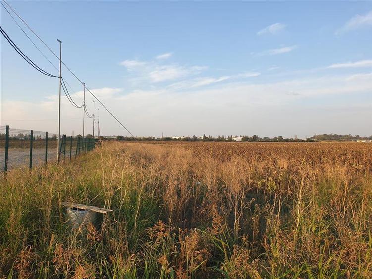 RECO Teren intravilan zona Borsului