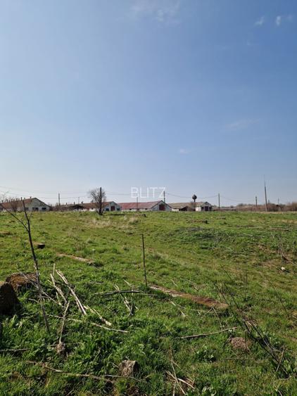 Fermă de vânzare 8 ha – Balș, județul Olt - 13