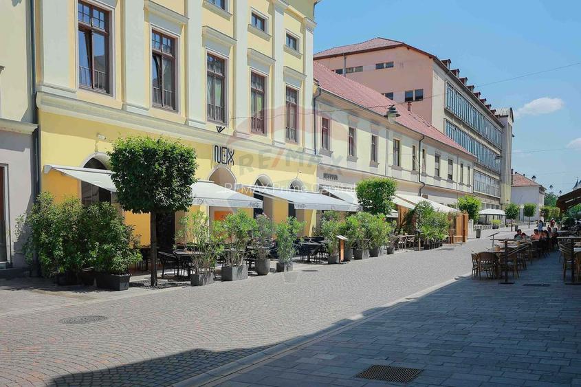 De vânzare — Spațiu comercial parter 409 mp, Vasile Alecsandri - 40