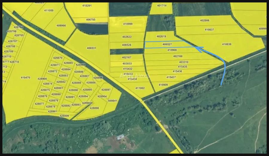 Teren extravilan 5.500 mp Moșnița Nouă – acces la drum, zonă în dezvoltare - 4
