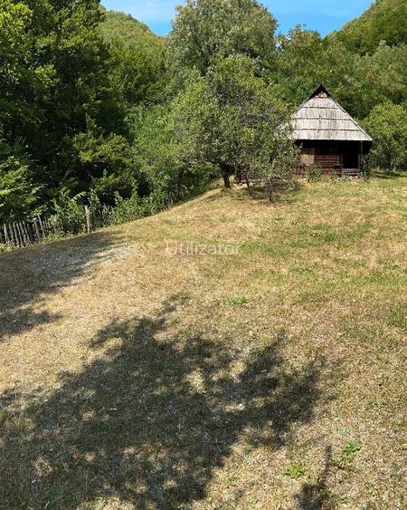 Teren Montan 6.572 mp Jieț (Petrila , Județul Hunedoara) - 2