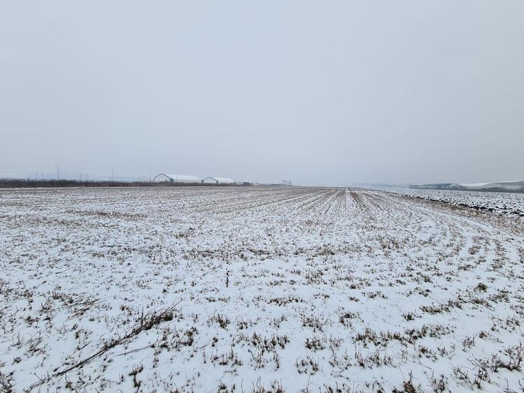 Teren industrial de vanzare in Stupini