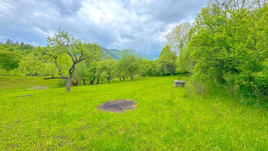 Teren 1500mp, intravilan cu utilitati, in proximitatea complexului Vila Bran