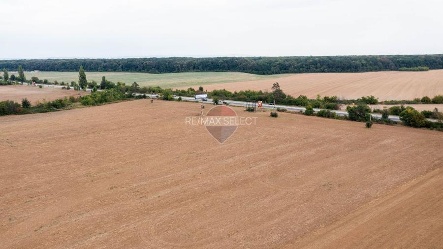Teren intravilan  10.000mp Ciolpani, acces direct din DN1 - 11