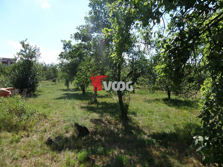 Teren intravilan | 2.810 mp|18ml|Zona Fratelia|