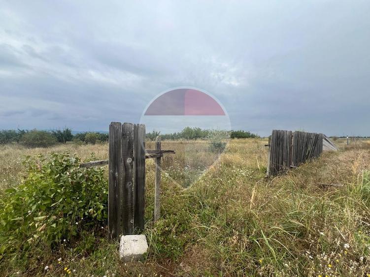 Teren intravilan Golesti / Aleea Lacramioarei