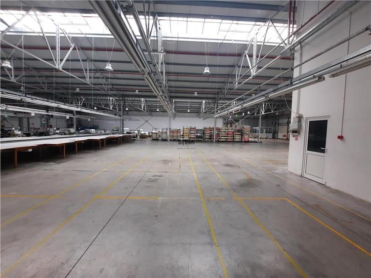 Spatiu Industrial - 6500 mp - Productie - Depozitare