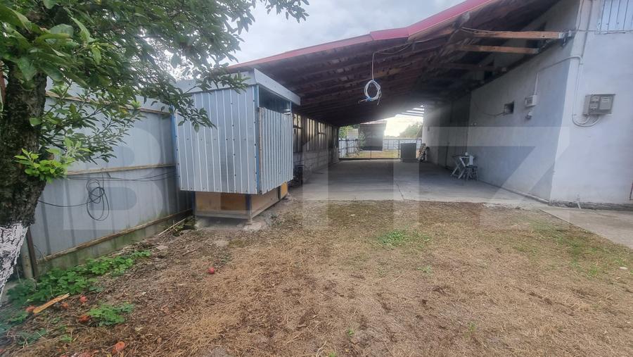 CASĂ P+M + TEREN 3.000 MP | BELCIUG, DRĂGĂNEȘTI | 3 KM DE A3