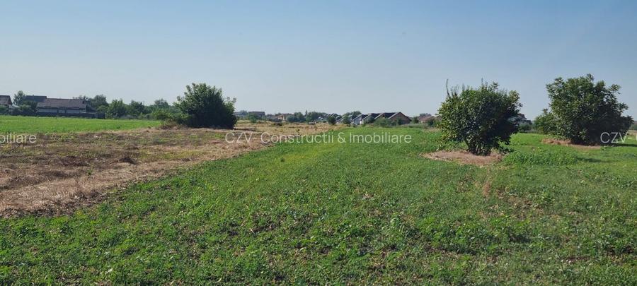 Teren intravilan 2.000 mp, două loturi construibile – Darvari, Ciorogârla - 12