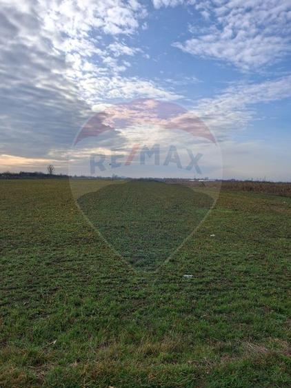 Teren 5,700mp Santion / None