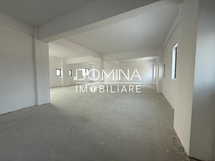 Spații pentru birouri și servicii - 319 mp/nivel - zona Coloana Infinitului - 4