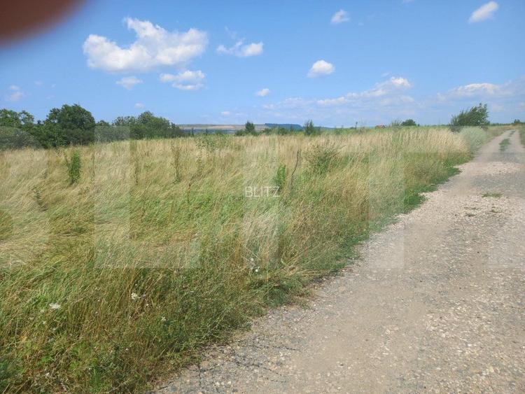 Investitie ! Teren intravilan in Sopor, 2500 mp , front 36 m ! - 3