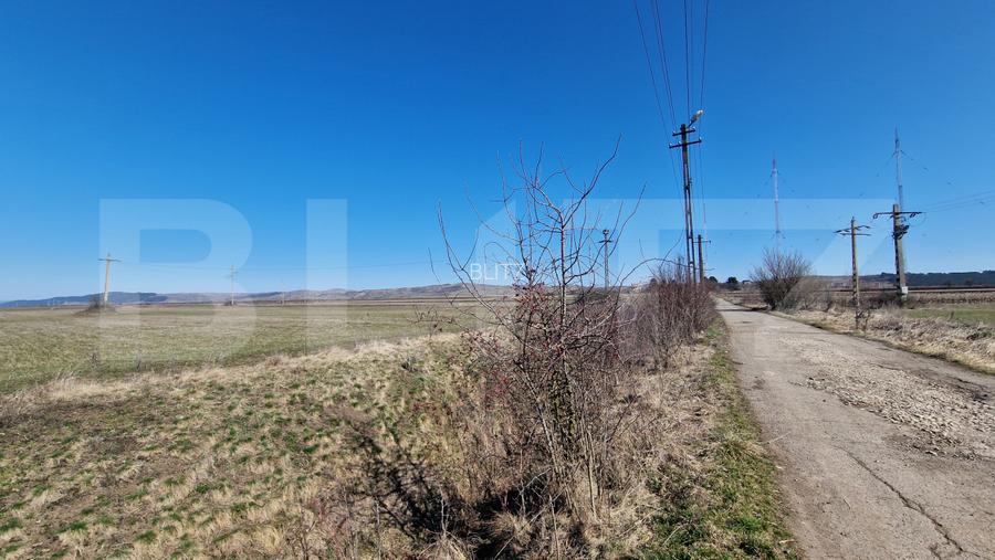 Teren intravilan, 29.000mp, front 102mp, utilitati in zona, Jucu de Sus - 3