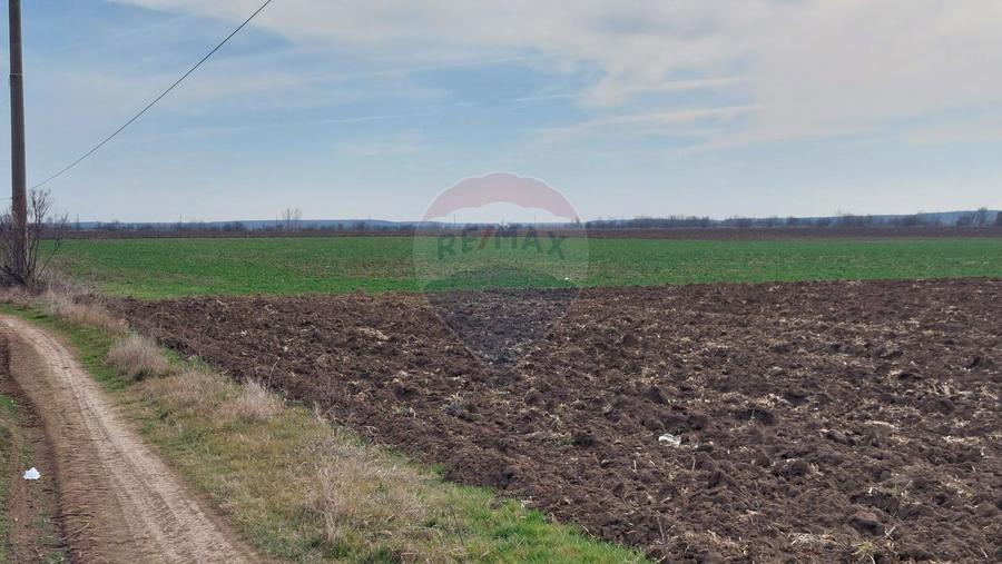 Teren 5,000mp Moara Vlasiei / Strada Morii