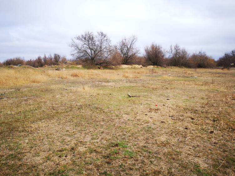 Vând teren agricol  2 ha cu deschidere la Dunăre