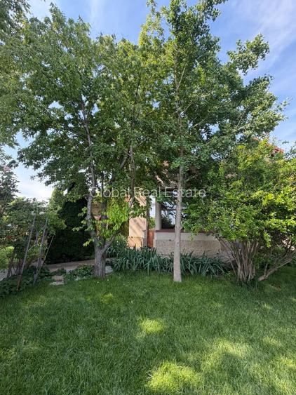Vila 6 Camere P/M Teren 1000mp Poiana - 12