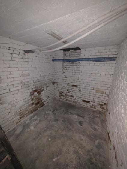 Inchiriere Spatiu Comercial Vasile lascar Dacia