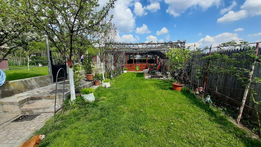Casa moderna, foarte spatioasa, cu 1500 mp teren, în Dambul Rotund