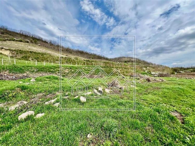 Oportunitate de investitie - constructii si teren 2700 mp - Seica Mica