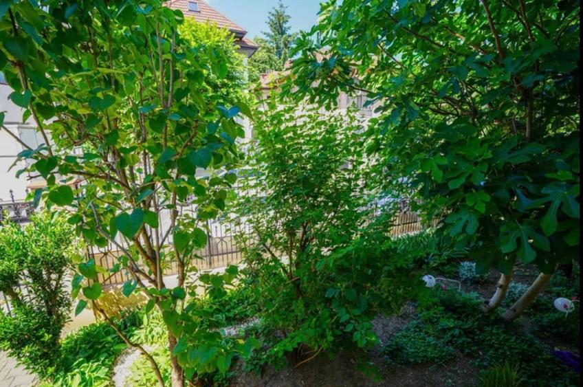 Ocazie rară de achizitie - proprietate autentică in cea mai buna zona, garantată