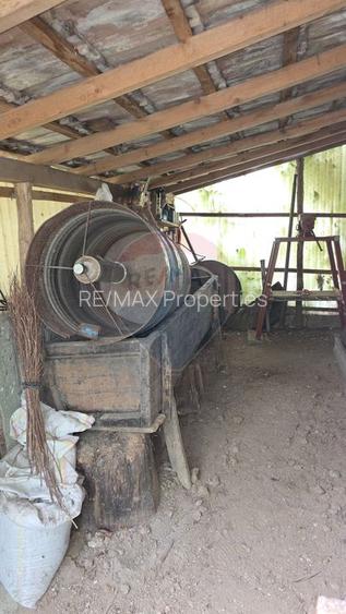 Domeniu rural, gospodarie/multifunctionala cu casa, livada, vie - 22