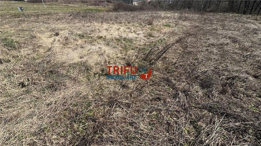 Teren 675 mp | Comuna Ciugud (Teleac) | Oază de liniște