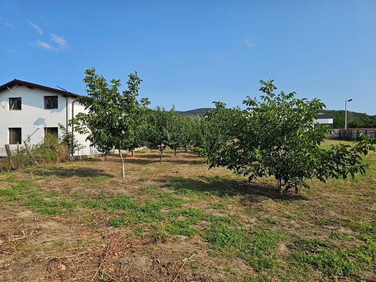 Buzau, Pietroasele - casa 4 camere, 2 bai, 150 mp utili.