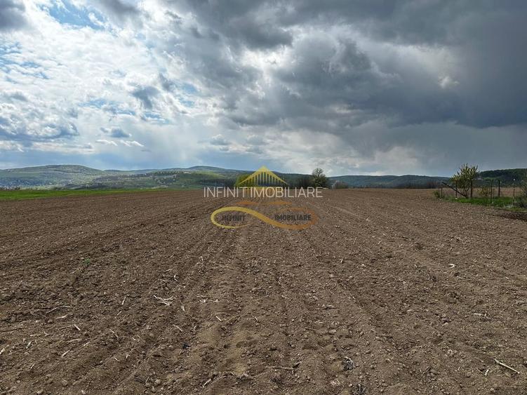 De vanzare doua loturi de teren in Fantanele-Bacau - 8