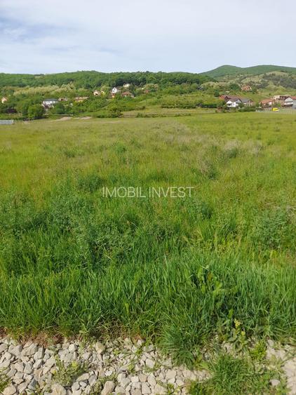 Teren Intravilan 5738mp|PUZ în desfășurare,dezvoltare rezidențială - 2