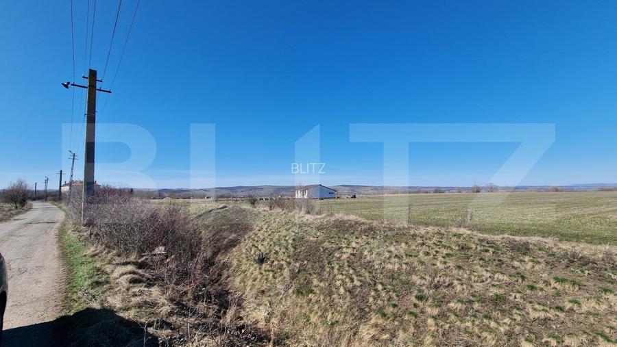 Teren intravilan, 29.000mp, front 102mp, utilitati in zona, Jucu de Sus - 2
