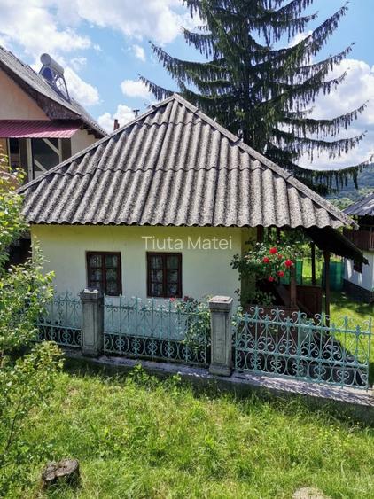 Vand casa la curte cu 2 cladiri anexe si teren