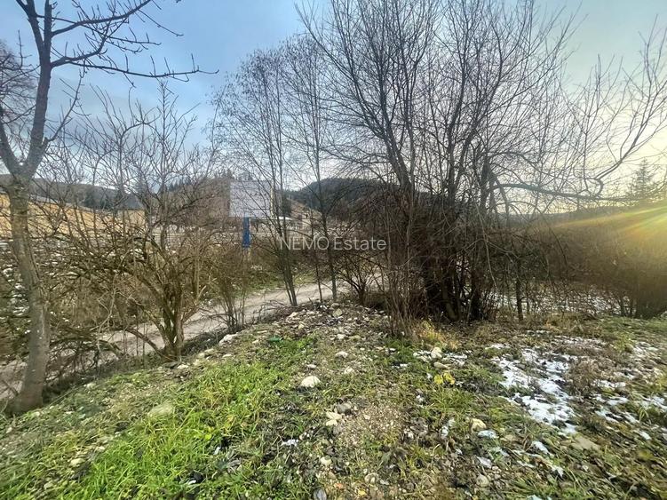 TEREN INTRAVILAN 2,26 HA | SUCEVITA | - 15