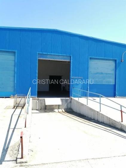 Vanzare depozit/hala/spatiu industrial Chiajna - Centura, ILFOV - 7