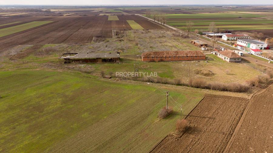 Fermă cu teren intravilan de 35000 mp în Mișca - 16