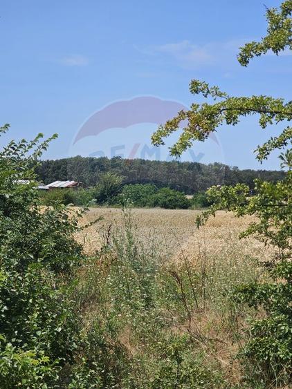 Vanzare Teren Intravilan Buftea, 750mp, str. Ulmului, Pista Biciclete