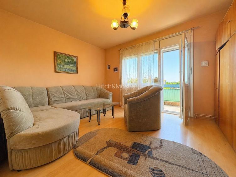 4 camere, suprafata generoasa, vedere panoramica spre raul Timis - 5