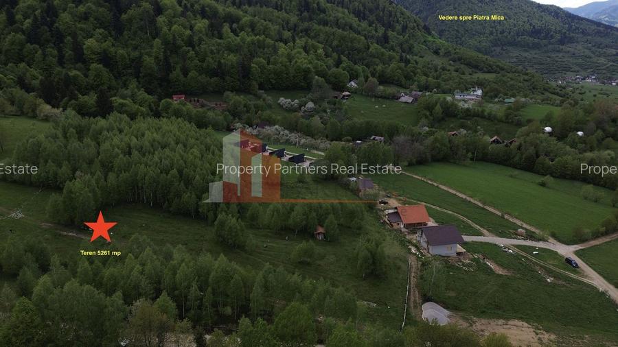 Teren intravilan 5.261 mp Tohănița | Deschidere 49 m | Utilități, lângă pădure - 6
