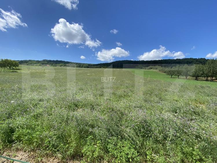 Teren intravilan in suparafat de 19213 mp, zona Valea Mitii - 2