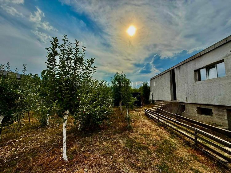 VANZARE/INCHIRIERE Spatiu comercial 420 mp, langa Termocentrala Mintia - 10