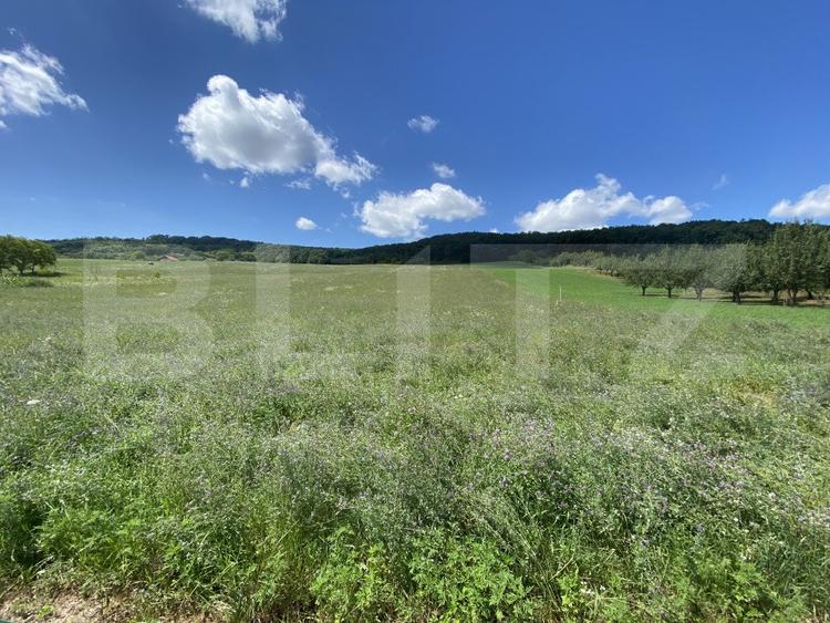 Teren intravilan in suparafat de 19213 mp, zona Valea Mitii