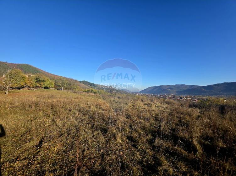 Teren 6,874mp Alexandru cel Bun / Strada plopusor - 3