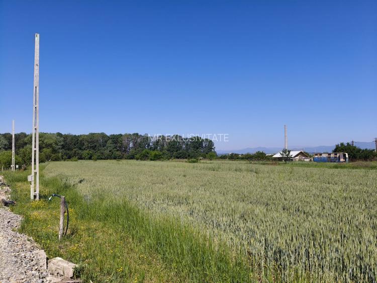 Teren 10.294 mp de vânzare Târgu Jiu | Intravilan + Extravilan | Utilități - 3