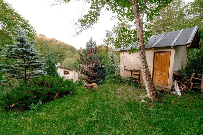 Casă de vânzare cu teren 2.340 mp și pârâu propriu — Bălilești, Argeș - 25